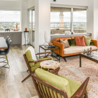 Houston Interior Designer Goes Mid Century Modern With Condo