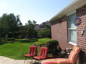 Before Shots of Backyard Covered Remodel